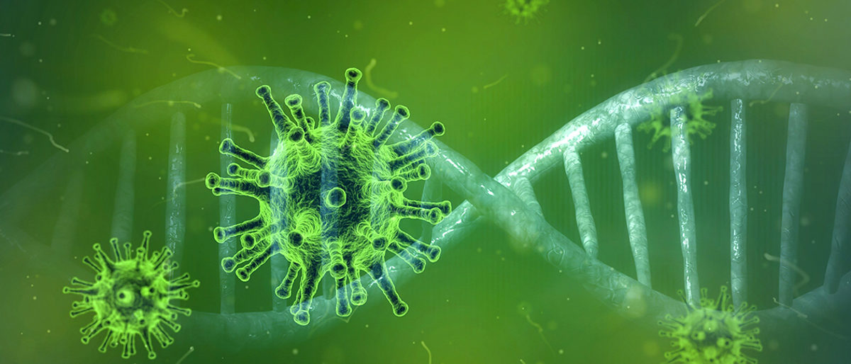 Coronavirus Corona Pandemie Viren